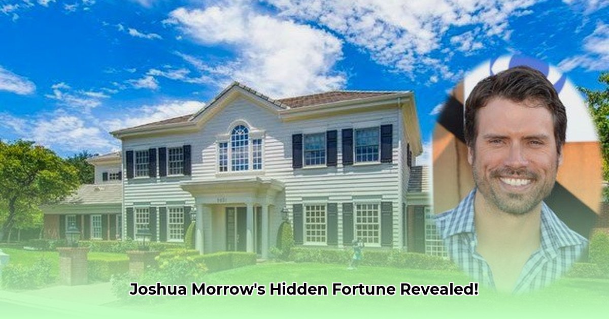 josh-morrow-net-worth